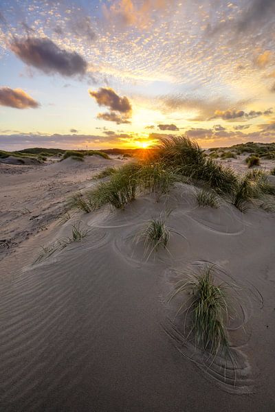 Düne, Strand und Meer von Dirk van Egmond