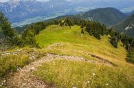 Oostenrijkse pad naar de top van Remco de Zwijger thumbnail