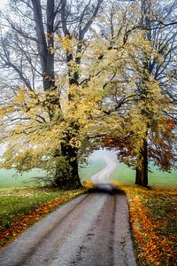 Lost, in a pleasant way