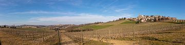 Dorpje met rijen wijnranken in de heuvels van Piemonte, Italië van Joost Adriaanse