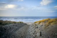Strand en duin, zee en wind, golven langs de kust! van Dirk van Egmond thumbnail