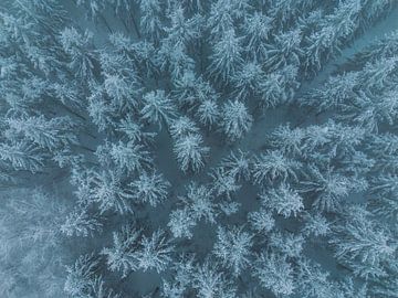 winter in the ardennes by Richard Driessen
