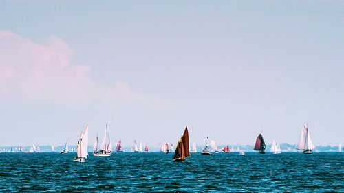 Flensburg Rum Regatta