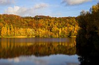 Herfstbos aan meer