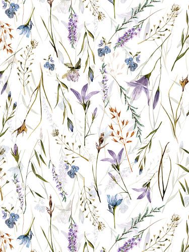 Scandinavische Midzomer Klokjesbloem Weide