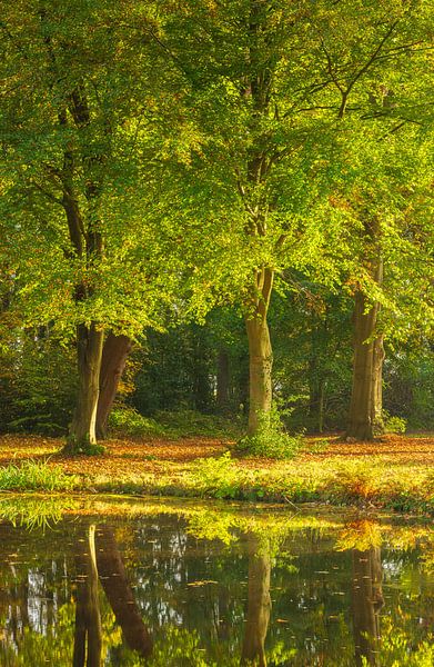 Landgoed Fraeylemaborg - Slochteren (Nederland) van Marcel Kerdijk