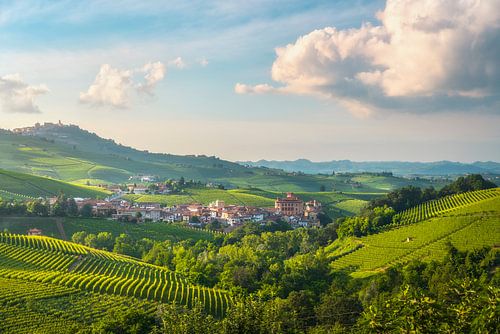 Langhe wijngaarden bij zonsondergang, Barolo en La Morra