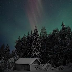 Magisch noorderlicht boven besneeuwd huisje in Zweden van Krijn van der Giessen