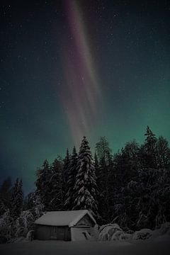 Magical northern lights over snowy cottage in Sweden by Krijn van der Giessen