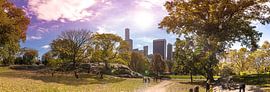 Central Park, New York - Panorama by Maarten Egas Reparaz