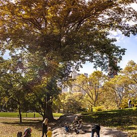 Central Park, New York - Panorama by Maarten Egas Reparaz