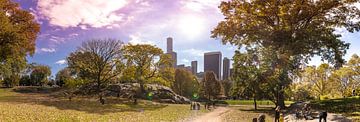 Central Park, New York - Panorama van Maarten Egas Reparaz