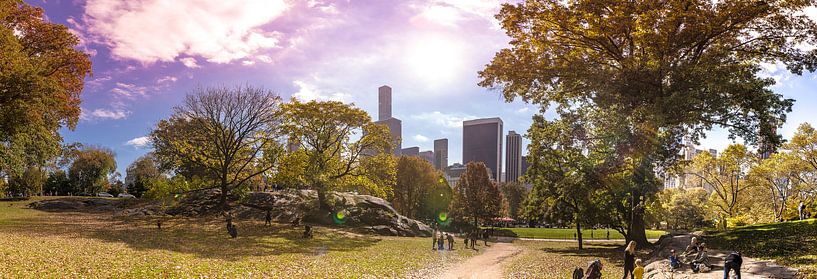Central Park, New York - Panorama by Maarten Egas Reparaz