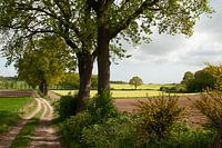 Groesbeek landscape