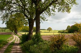 Groesbeek-Landschaft von Nancy van Verseveld