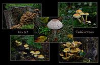 Herbst Pilze Collage von Leo Huijzer Miniaturansicht