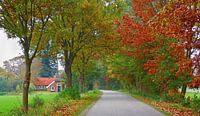 Country-Road (Landweggetje in Twente) van Caroline Lichthart thumbnail