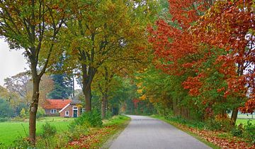 Country-Road (Landweggetje in Twente) van Caroline Lichthart