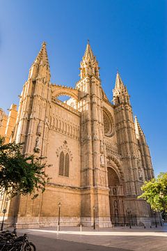 Spanje Balearen, Kathedraal van Palma de Mallorca van Alex Winter
