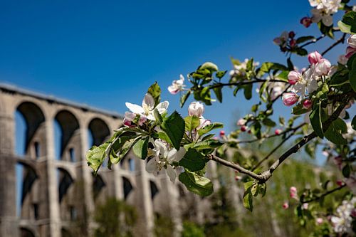 viaduc chaumont van anne droogsma