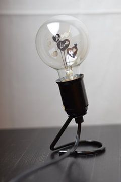 Lamp in fitting spanningsloos van Moh-Art