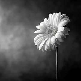 Blume in Schwarz-Weiß von Poster Art Shop