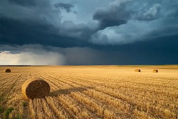 Threatening sky over wheat field by Art & Soul Creations