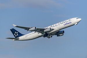 Lufthansa Airbus A340-300 in den Farben der Star Alliance.