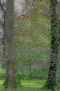 Romantisch bos van Minie Drost
