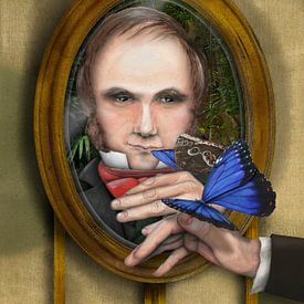 Charles Darwin met Blauwe Morfo, Morpho peleides van Urft Valley Art