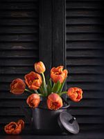 Stilleven, tulpen in keteltje (Tulipa Sunshine)