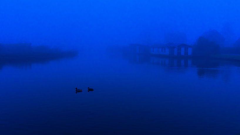 Eenden in de mist par Floris van Woudenberg