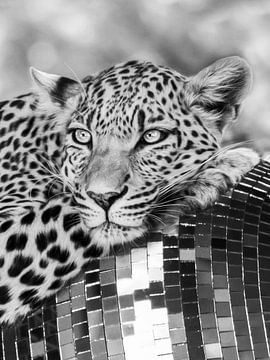 Disco Leopard by Dagmar Pels