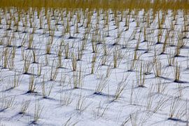 In winter at the Baltic Sea by Thomas Jäger