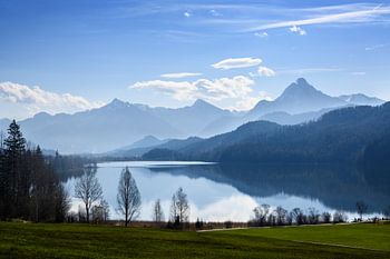 weissensee im morgenlicht vor den bergen der bayerischen alpen vor blauem himmel bei füssen, allgäu,