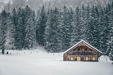 Houten hut in de winter van Markus Weber