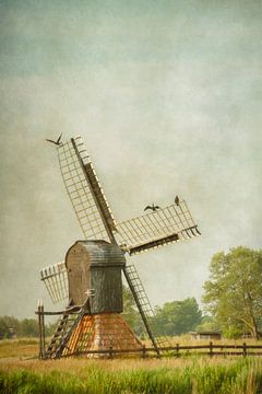 Friesische Mühle von Lars van de Goor