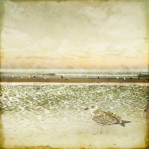 La nostalgie de la côte.