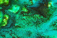 Fotografische Malerei (2)