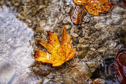 Herfstsfeer in de bergen - kleurrijke pracht, rust en de magie van de natuur