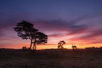 Sunrise Heidestein Driebergen Zeist