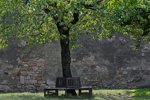 Rust onder de boom in Trento