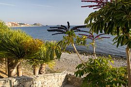 A look at the beach by Cornelis (Cees) Cornelissen