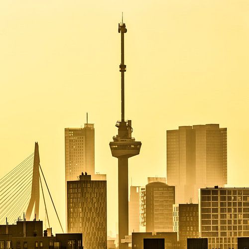 Niederlande, Rotterdam, Skyline mit Euromast und Erasmusbrücke. von Frans Lemmens