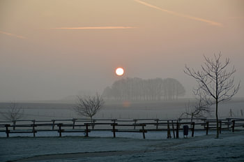 Landschaft im März