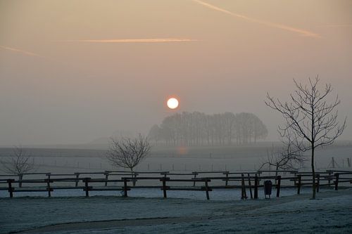 Landschap in Maart
