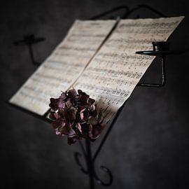 Music by Mariette Kranenburg