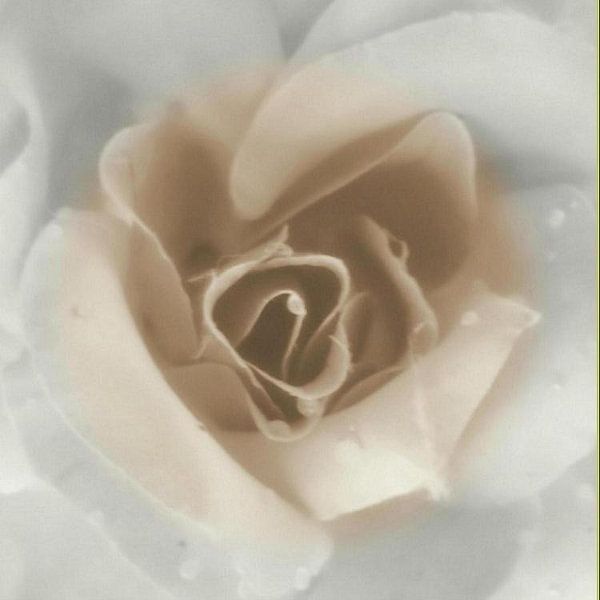 DREAMING par Barbara Mueller