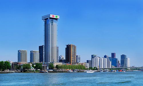 Rotterdam uitzicht over de Maas en de Zalmhaven