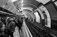 London underground station, Piccadilly Circus, United Kingdom by Roger VDB thumbnail